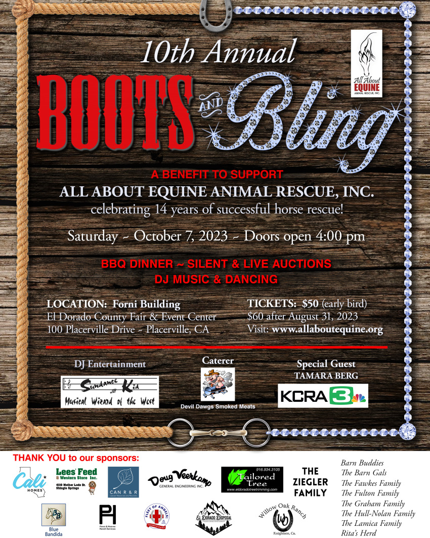 10th annual boots and bling