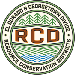 RCD Logo rev